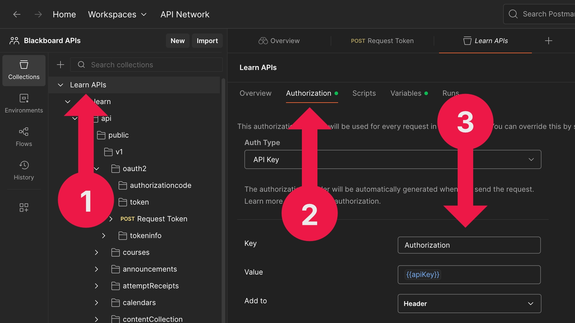 Postman Collection-level Authorization tab set to API Key with Authorization as the header key.
